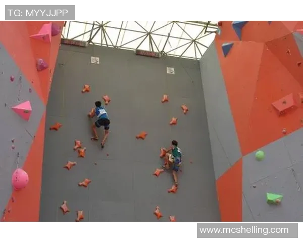 成都攀岩队心理素质排名前十的最新研究成果揭示攀岩成功的关键因素