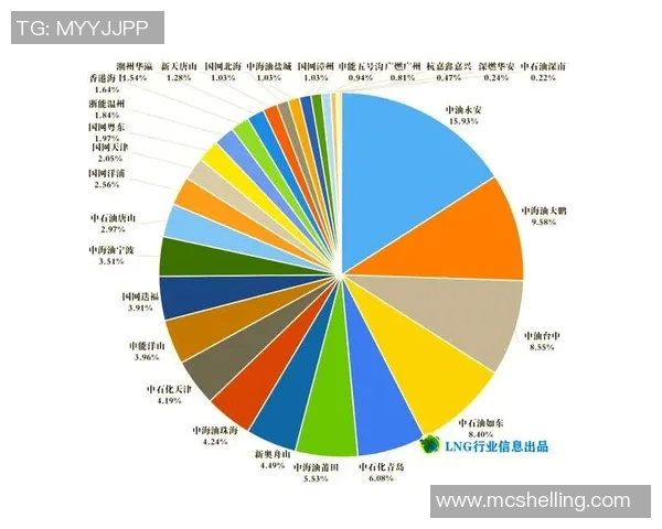 数据分析视角下LNG市场的配合表现及其未来发展趋势探讨 数据分析视角下LNG市场的配合表现及其未来发展趋势探讨