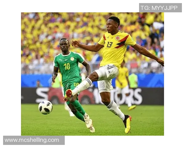 深入分析上海极限运动队的防守策略与战术执行细节