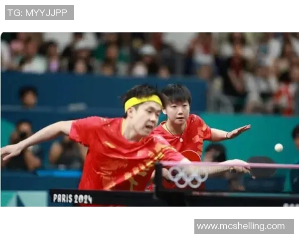 深圳乒乓球队的耐力训练与比赛表现探讨聚焦乒乓球运动的未来发展
