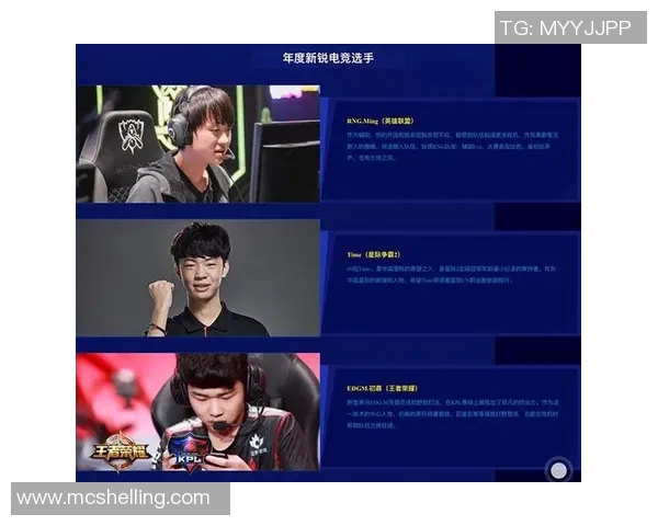 深入探讨RNG在王者荣耀中的实力与战术解析