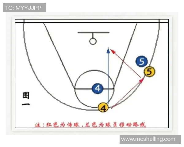 篮球新手必看：快速掌握基本技巧与战术的全面指南