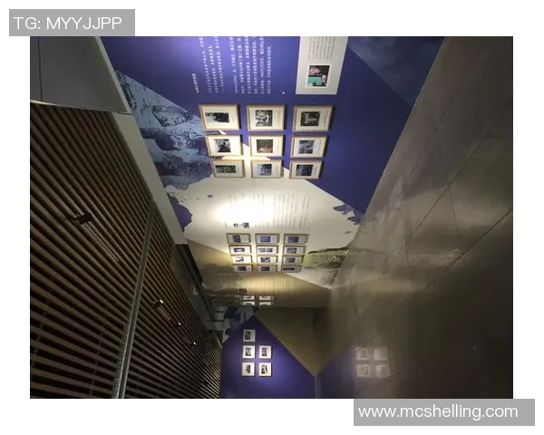 西安飞盘队的成功运营模式与发展策略全解析