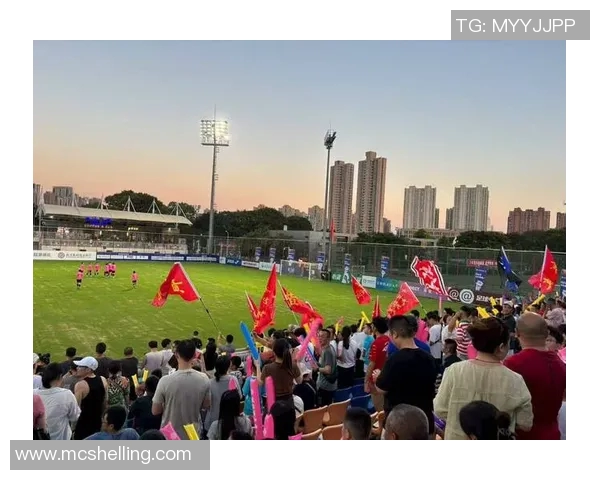 建业与武汉激战正酣比赛结果揭晓引发球迷热议