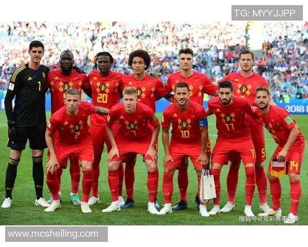 竞彩008法国对冰岛赛事分析及投注建议全方位解读