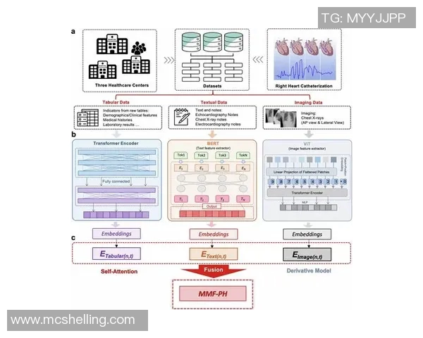 重庆极限运动队速度表现数据分析揭示运动员潜力与训练效果的深度关系