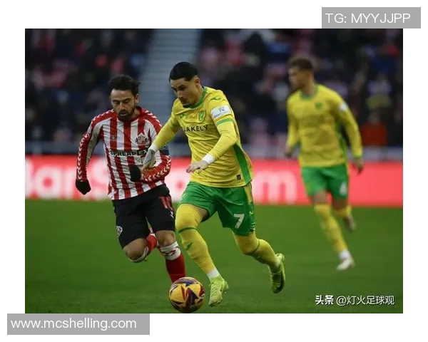 048米堡对阵诺维奇的精彩对决分析与赛季前景展望